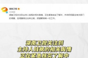 吃瓜娱乐被告,揭秘网络舆论的利与弊