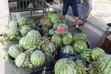 潮州网红吃瓜事件视频,一场网络热议的幕后真相揭秘